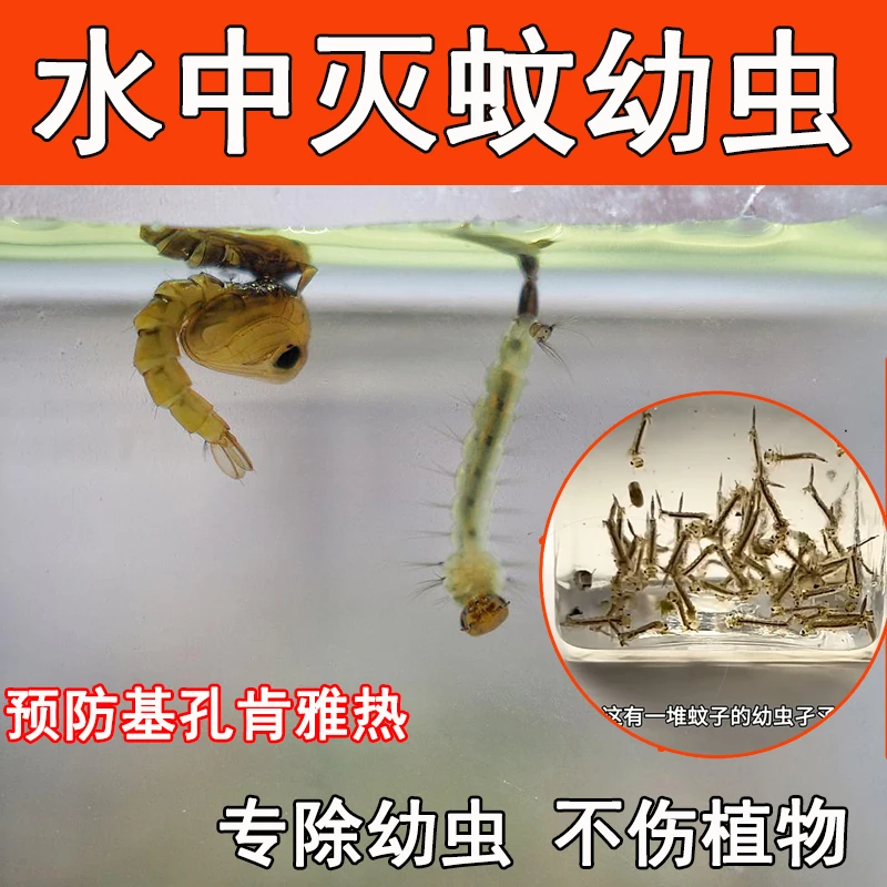 水培植物杀虫剂灭蚊子幼虫卵孑孓碗睡莲富贵竹荷花池塘除水里的虫