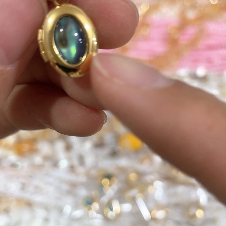 贝壳非金属一个小号鲍鱼贝嘎乌盒