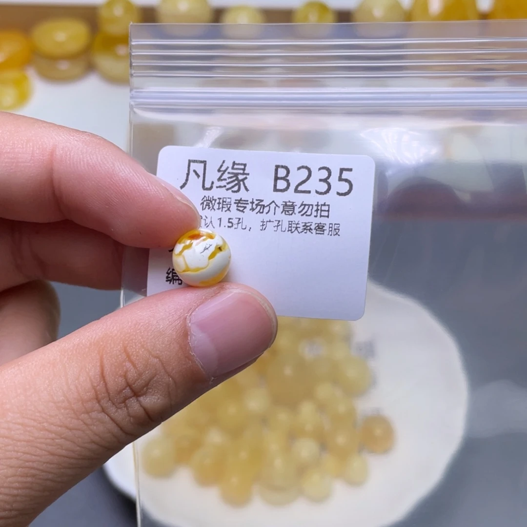 琥珀珠宝奇石未镶嵌乖****贝