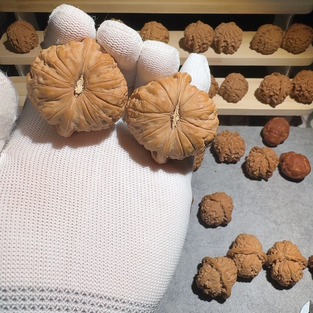 陈***。大叶紫檀（黑酸枝木类）