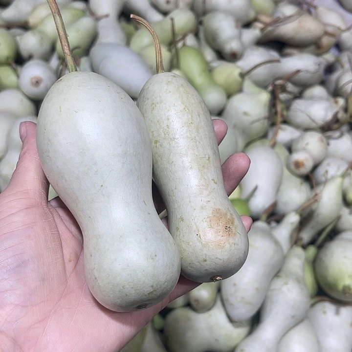 非洲紫檀（红花梨）龙*好不要生气生气咯么