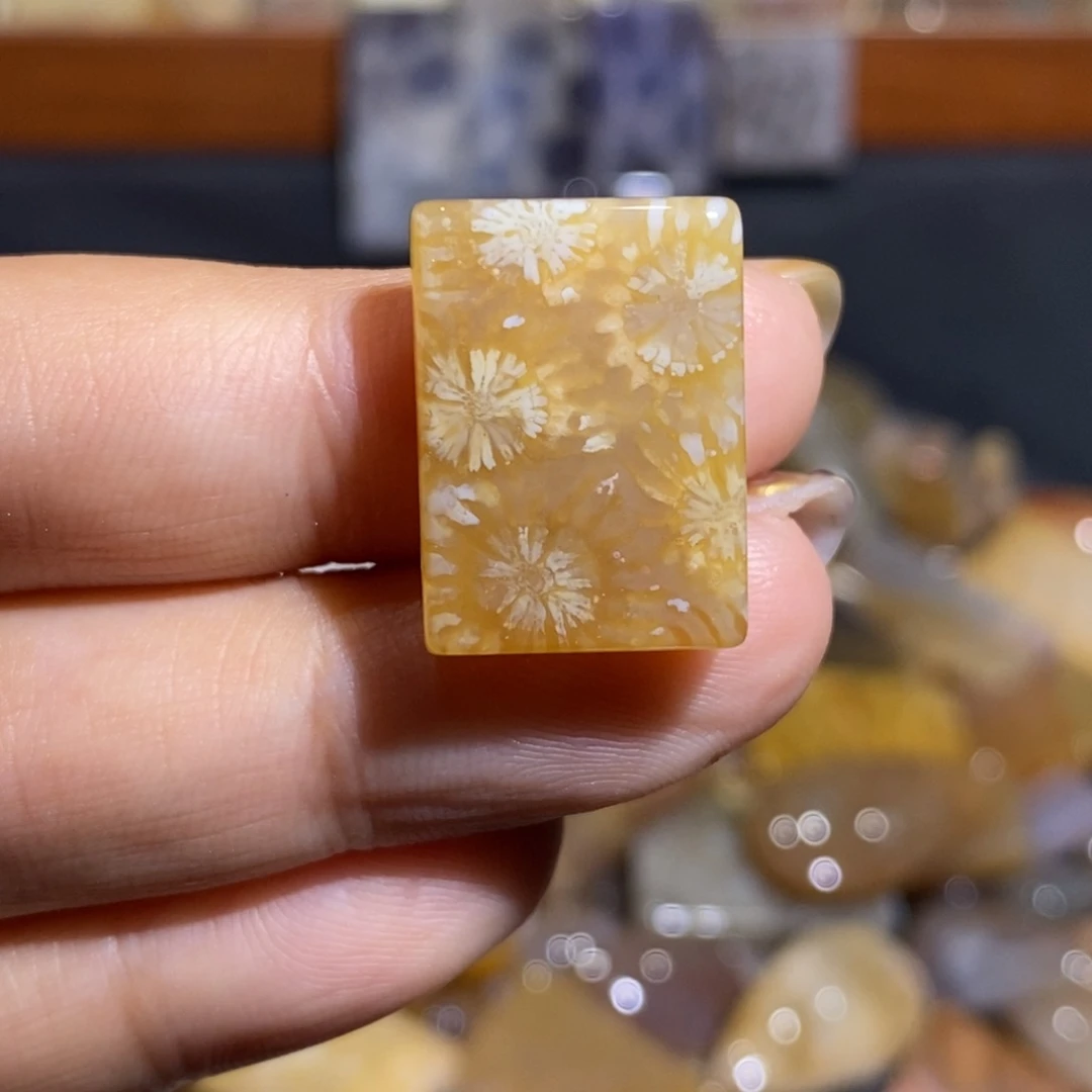 【闪购商品】未镶嵌珊瑚玉硅化玉