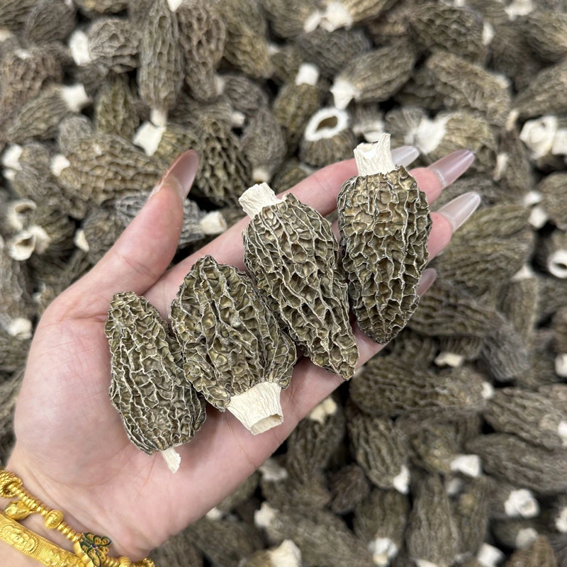 干羊肚菌250g南北干货