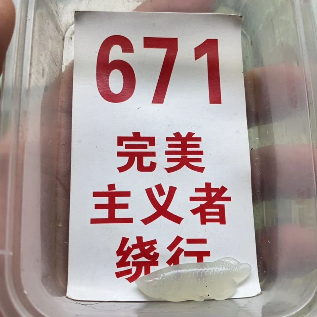 蛇纹石玉挂坠未镶嵌