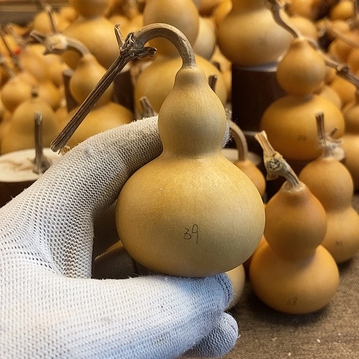 文玩葫芦 完美主义者 慎拍39