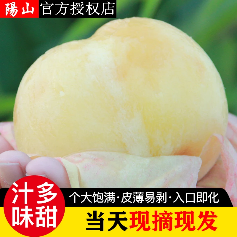 【6-7两】【湖景俩盒福利】正宗无锡阳山水蜜桃新鲜水果礼盒