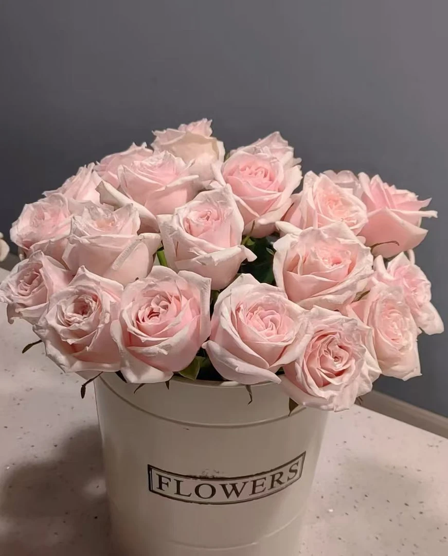 【香巴拉玫瑰】 鲜花玫瑰 昆明基地直发