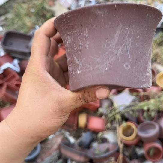 我想说我们不在一块就