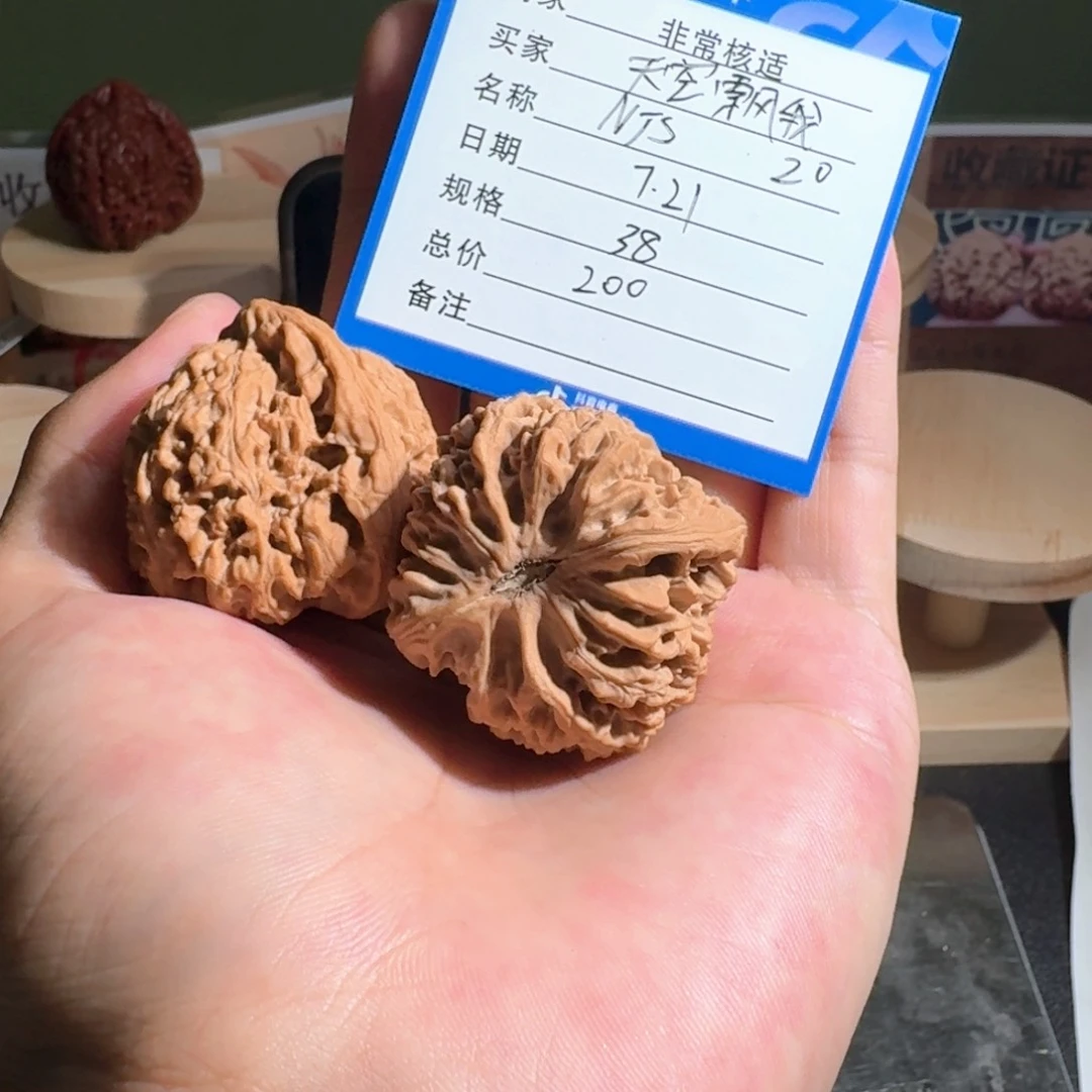 天***我逐鹿南疆石编号20