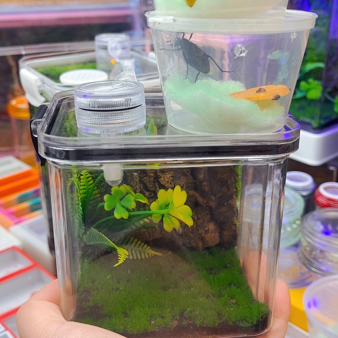 生态箱送两电报铃哈哈