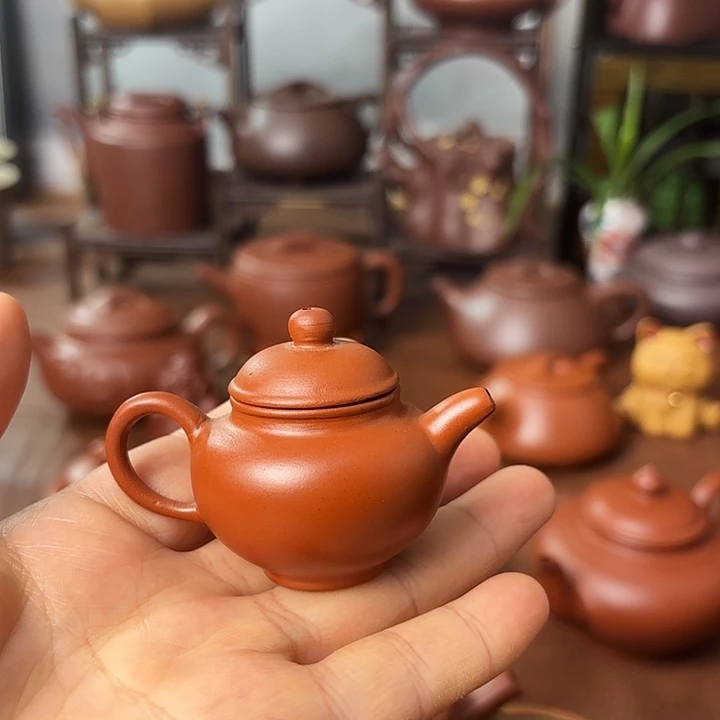 茶壶紫砂掇只 把把壶