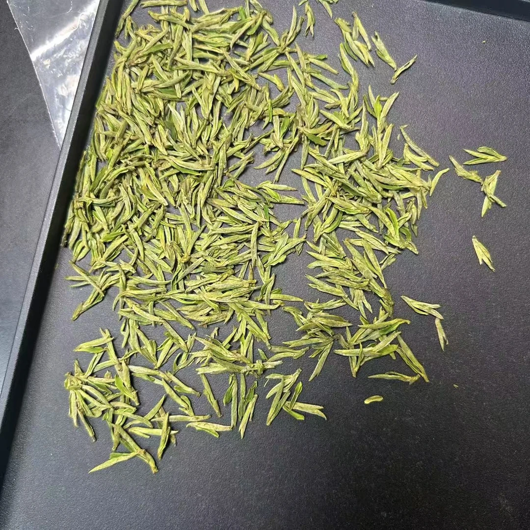 【米芽黄金芽】稀缺品种 中黄一号 黄金芽