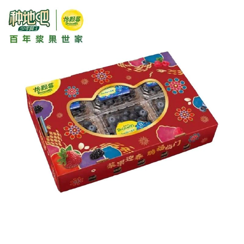 [低GI]怡颗莓Driscoll's云南蓝莓大果六盒装125g*6