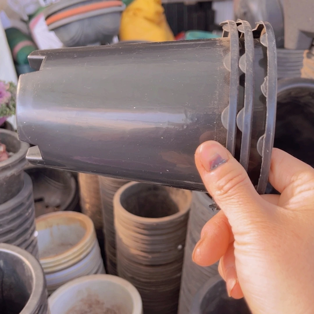 塑料12.5 公分 高 13公分 黑万象盆 20个