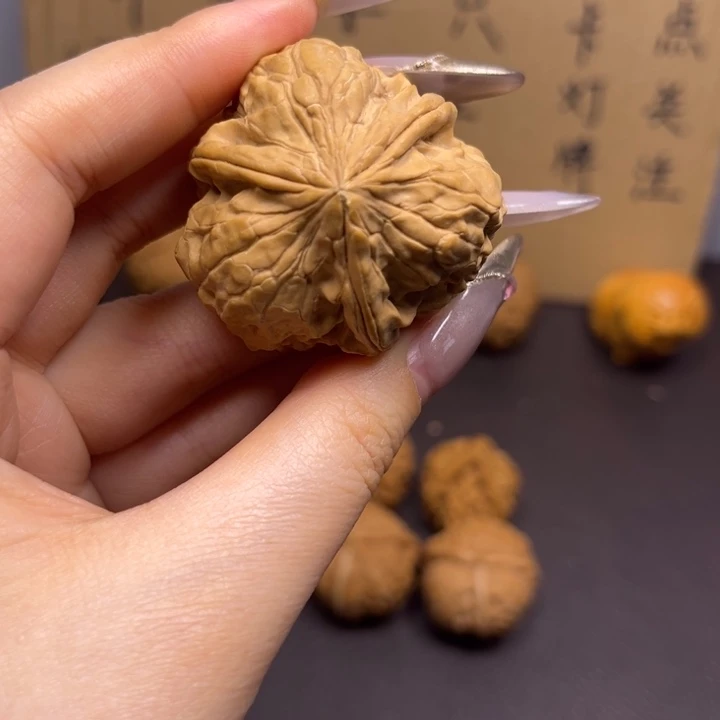 对***对菩提籽类金蝉尊单只异型有瑕