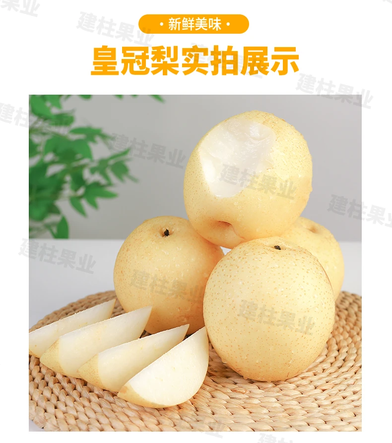 正宗皇冠梨新鲜批发现摘当季水果脆甜多汁超大果梨子