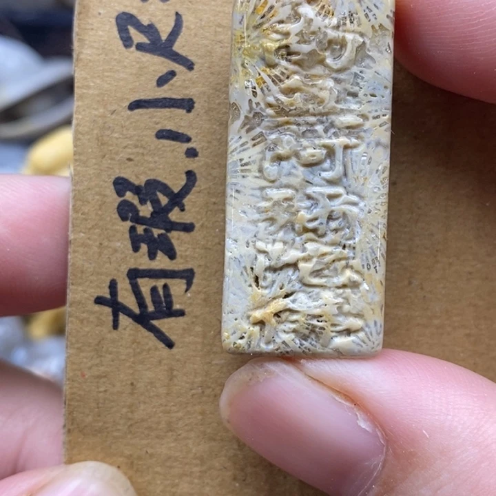 硅化珊瑚（珊瑚玉）未镶嵌颈饰