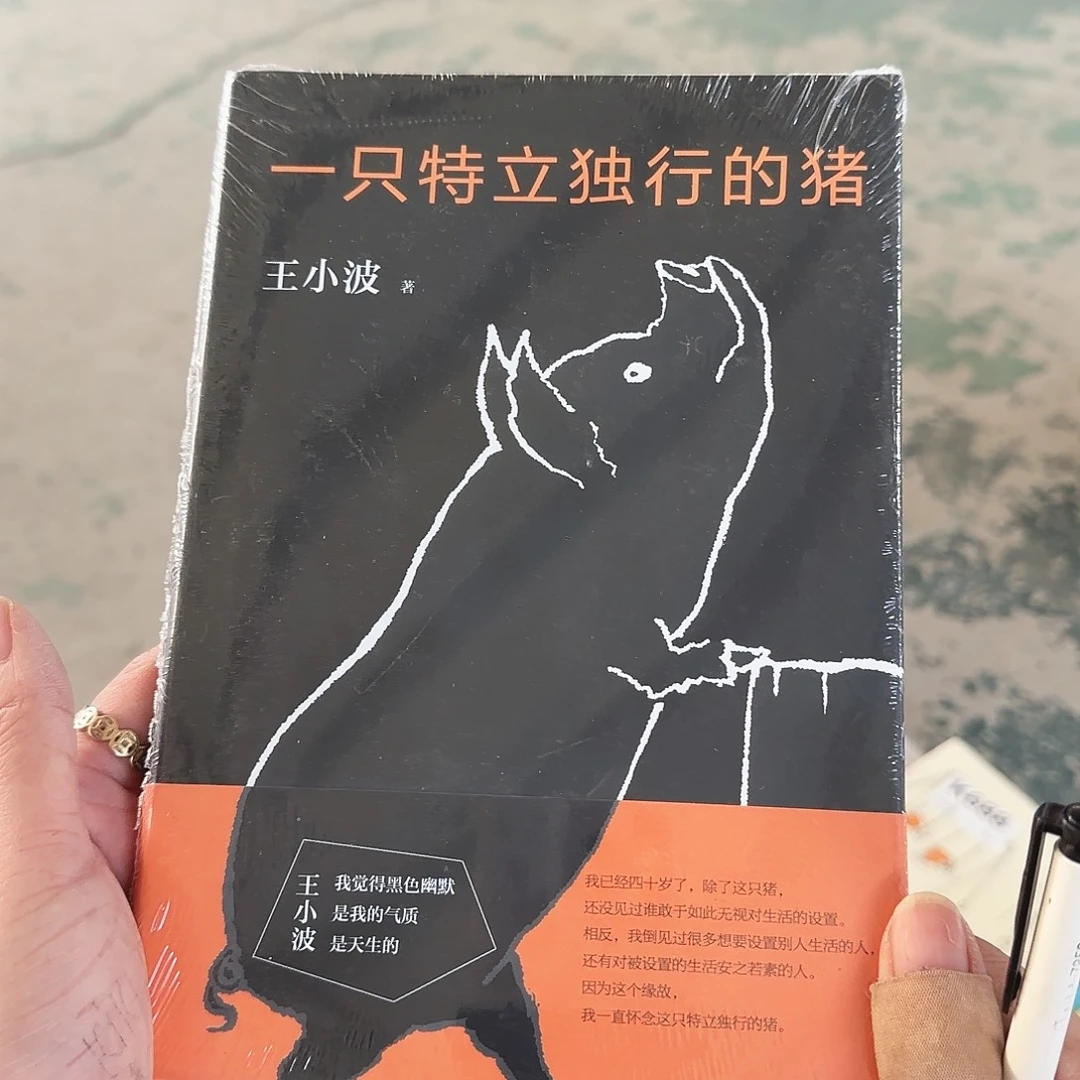 一只特立独行的猪闪购闪购