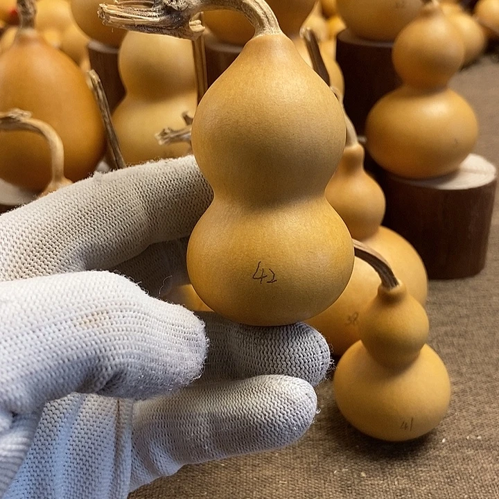 文玩葫芦 完美主义者 慎拍42