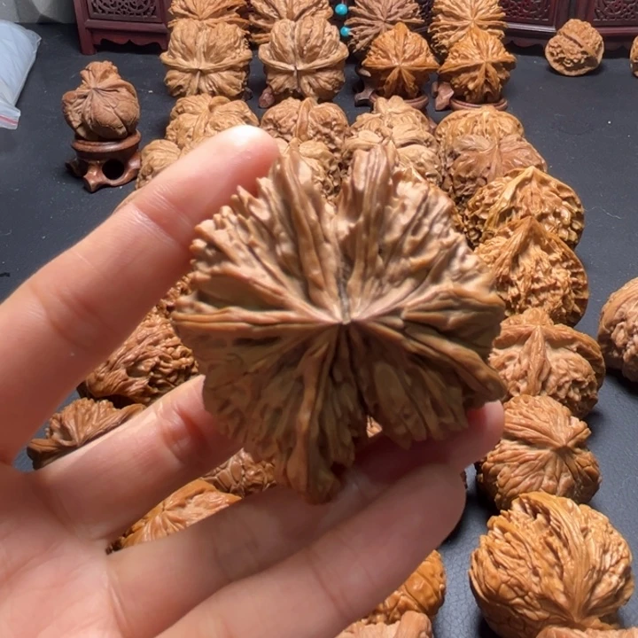 学超蝴蝶连体49尺寸单只核桃哈哈哈哈哈