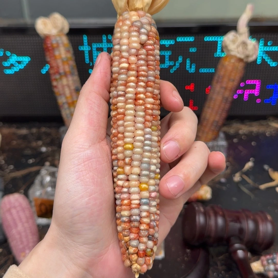 柏香籽/百香籽吊坠小***?
