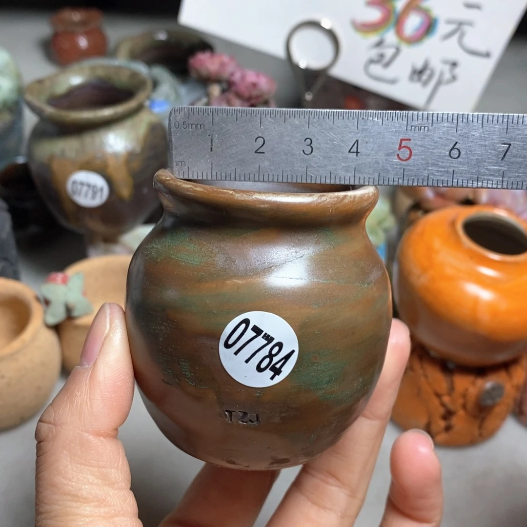 花盆拍5送一个小礼物