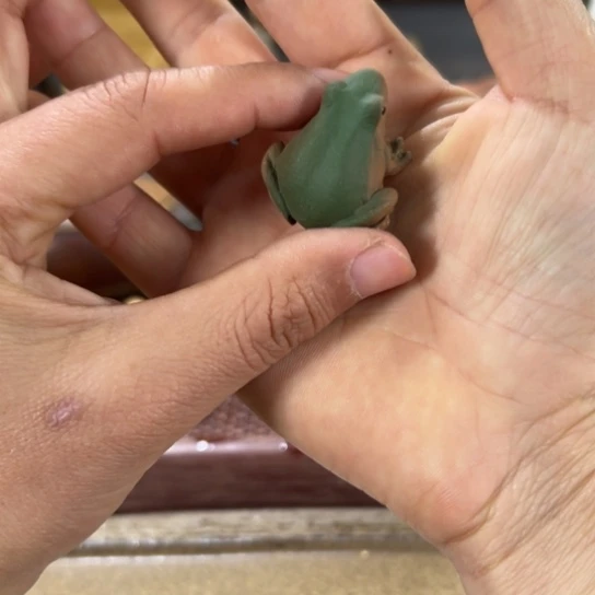 紫砂茶宠紫砂茶器