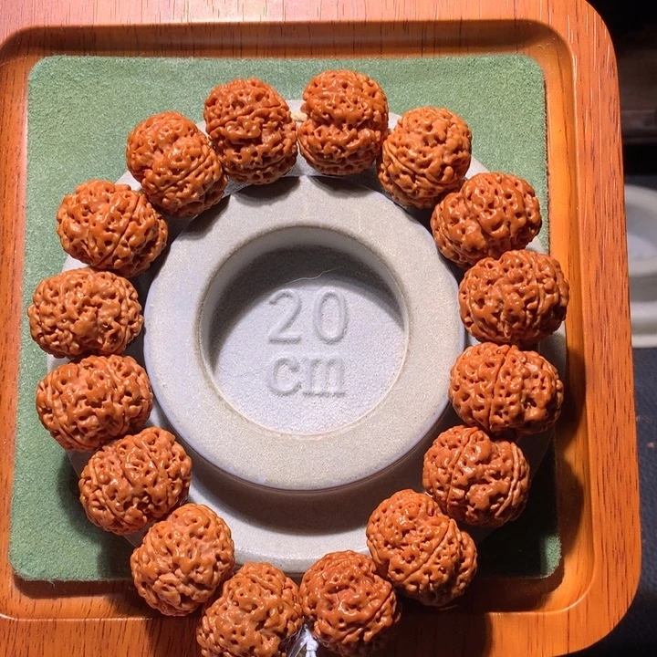 手串金刚菩提22+方尊金龙