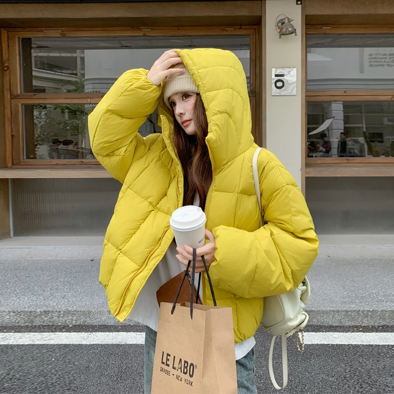 小众休闲极简风羽绒服2025冬季新款ins短款韩系百搭白鸭绒面包服