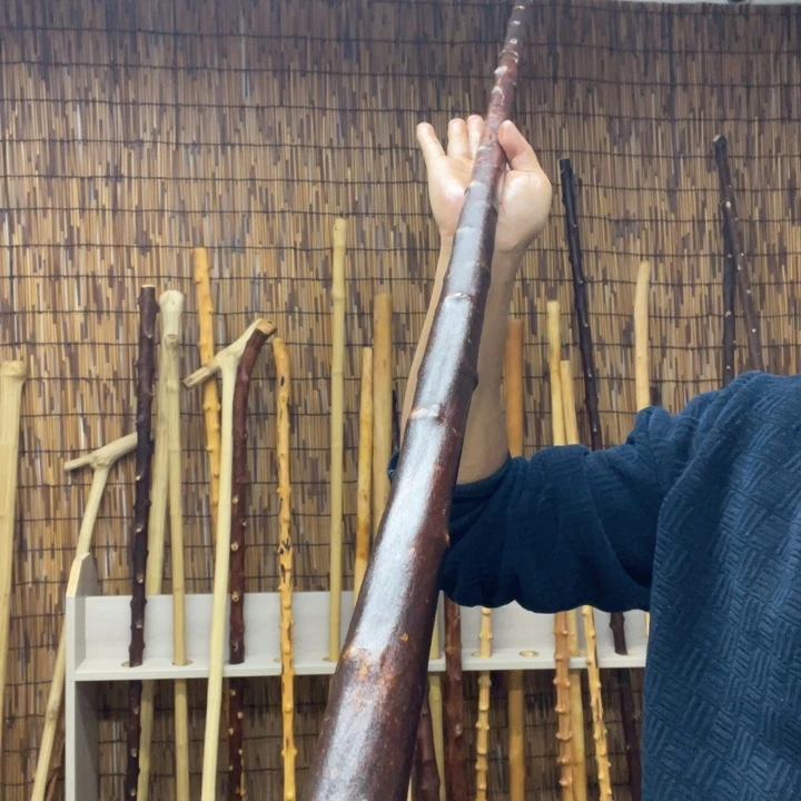 北对节木北对节雀梅