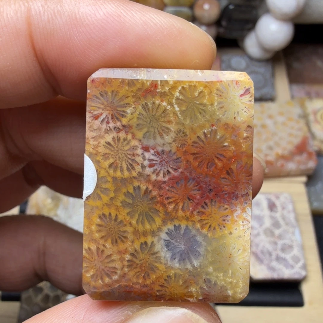 硅化玉未镶嵌纯天然色有机玉石保真色