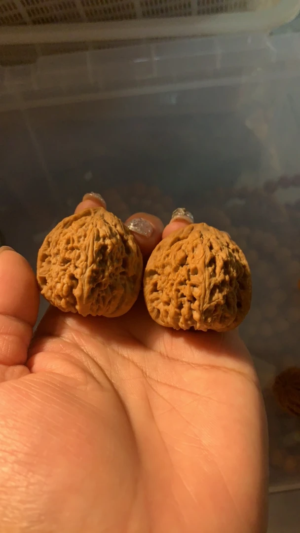 文玩核桃麻核桃直播链接