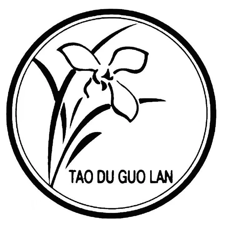 陶都国兰——《兰花福袋》