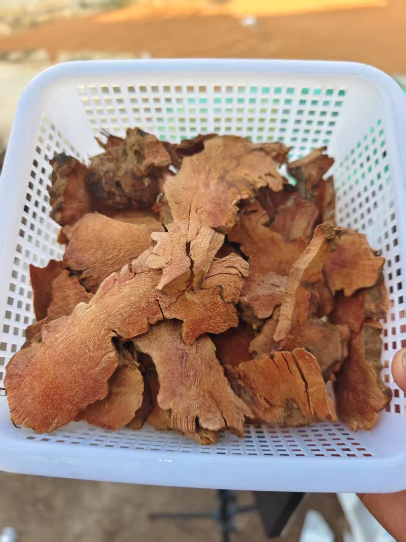 云南山货    土茯苓