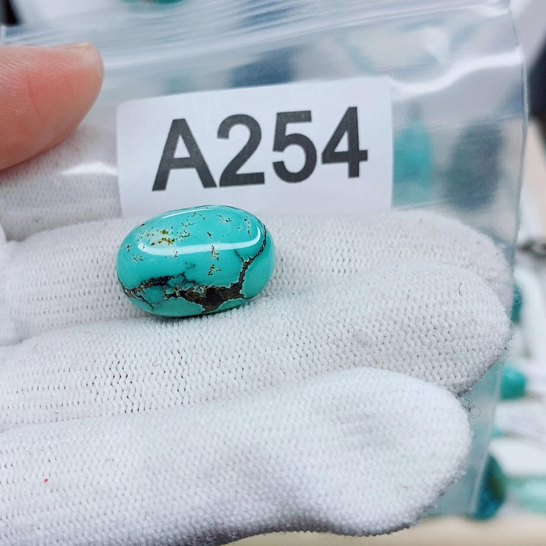 绿松石未镶嵌颈饰