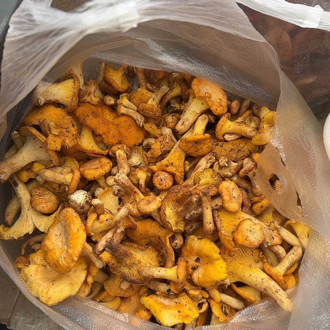皮***虾云南小表妹野生菌代购中国大陆
