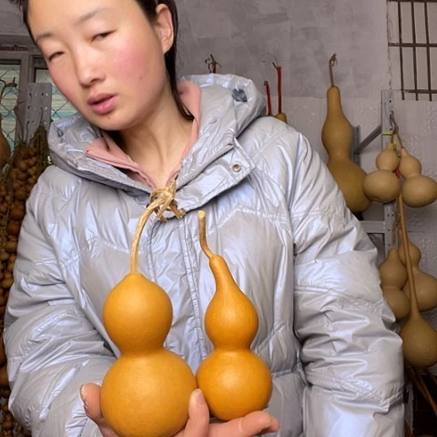 百**香天然植物葫芦文玩