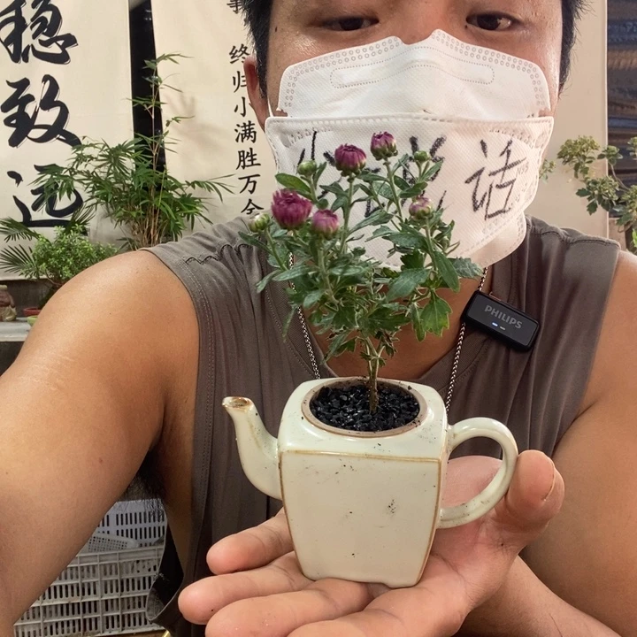 无花朵退款拉黑一物一拍29