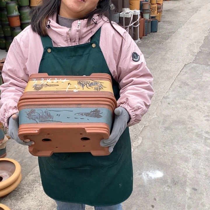 紫砂花盆盆栽花卉苗木种植