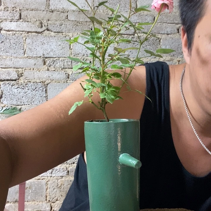 完全开放退款拉黑一物一拍178