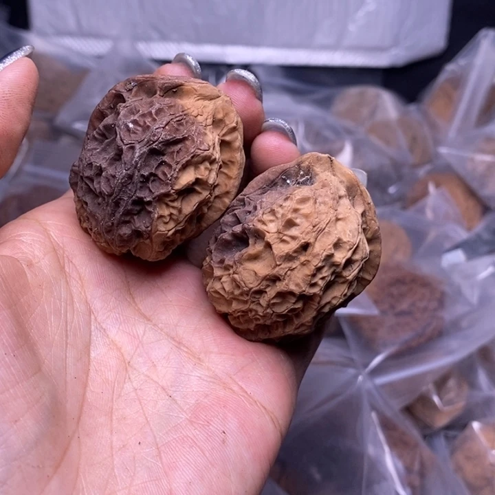 核桃云南野生铁核桃71号43mm