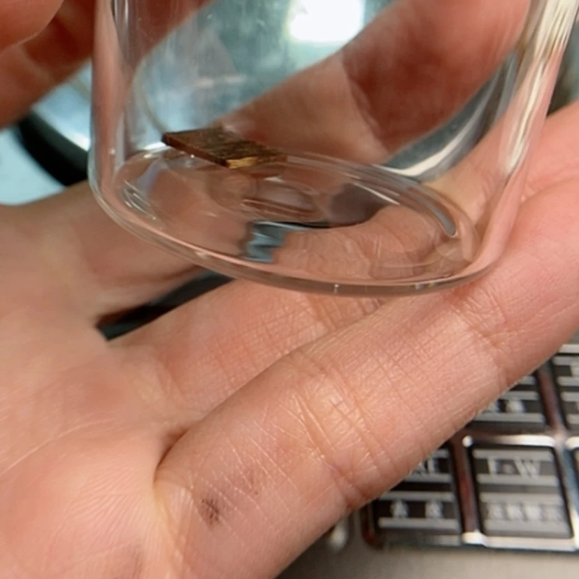 【闪购商品】更*芽庄白棋0.15克（福利10