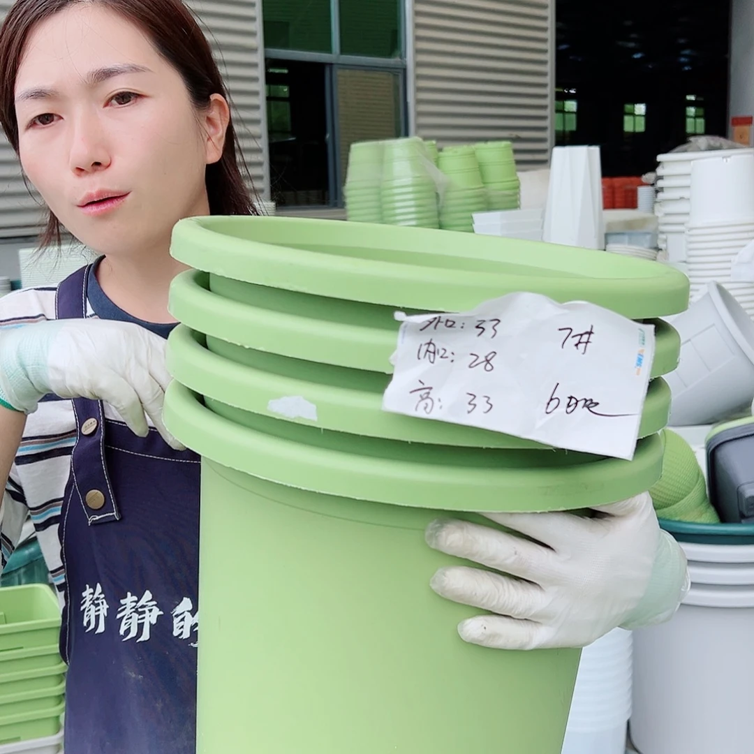 四季盆7#果绿6个无托