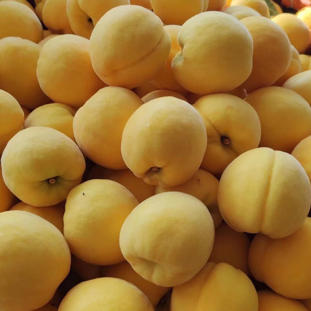 正宗锦绣黄桃新鲜现摘现发;脆甜多汁;包邮到家的一款黄桃时令水果