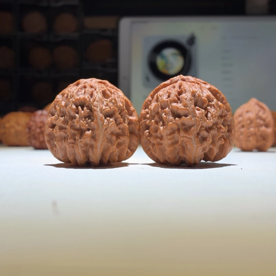 把件文玩核桃白狮子41