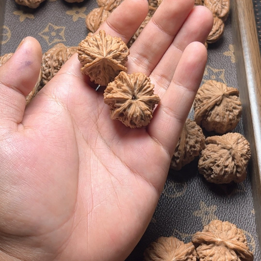 刘***美把件文玩核桃玉龙粗筋