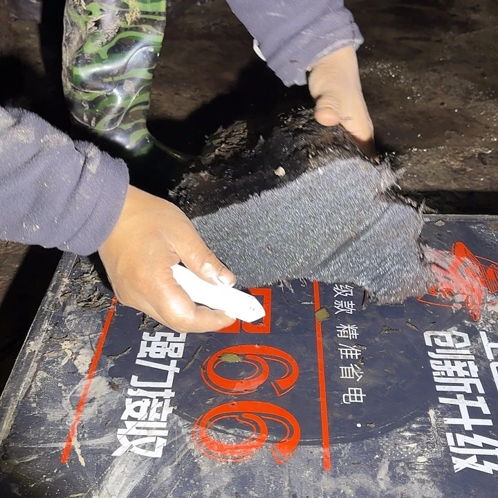 ****金丝楠金丝楠阴沉木