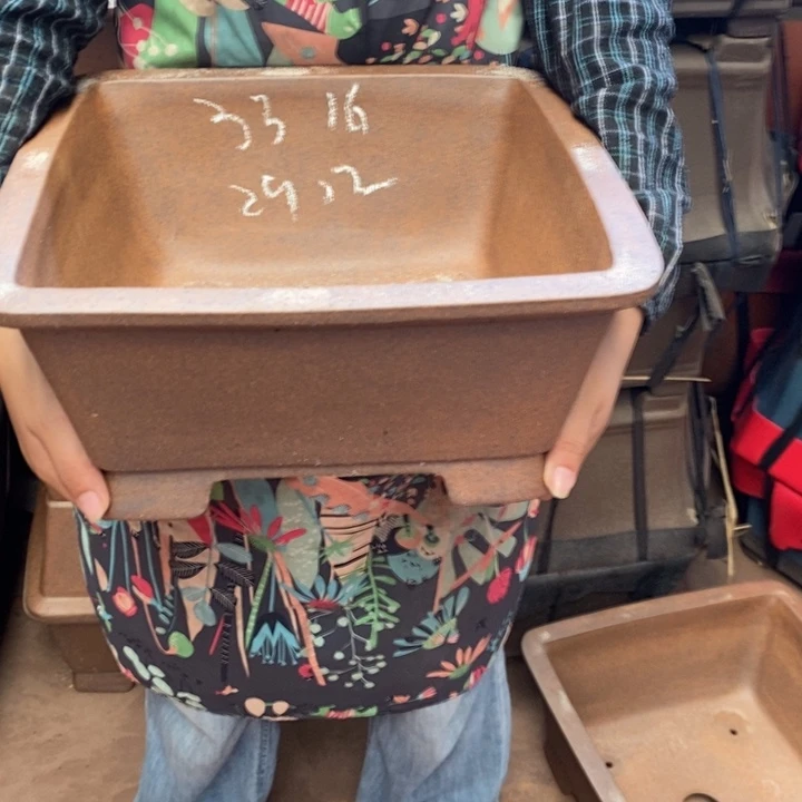 花盆紫砂只顾看手机的日子