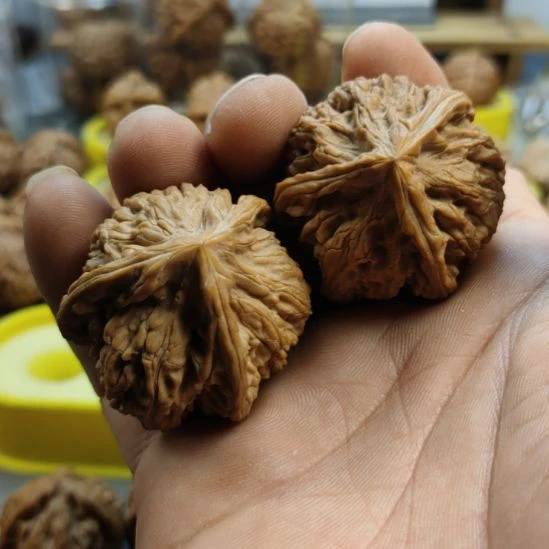 每***烈木质玉龙粗筋三棱核桃