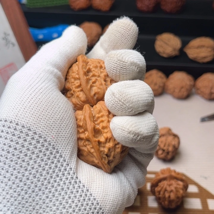 小***学宝鸡蜡皮野生品种